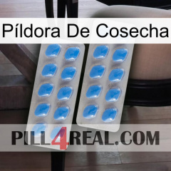 Píldora De Cosecha 23